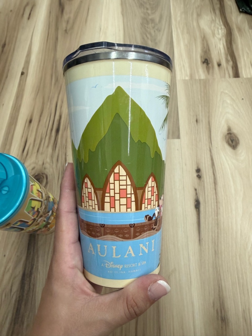 Disney Aulani Resort & Spa Tumbler Lot - Picture 6 of 10